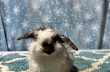 New bun mommy - advice pls🩷