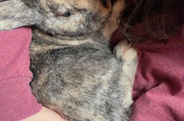 My sweet, sweet baby 🥹❤️