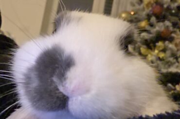 Do you have games on your phone?