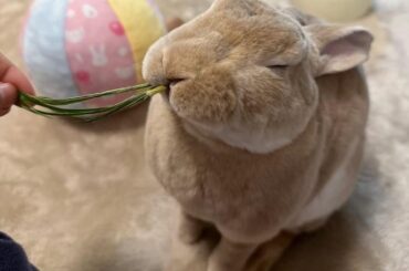 He refused to let go of this single blade of grass