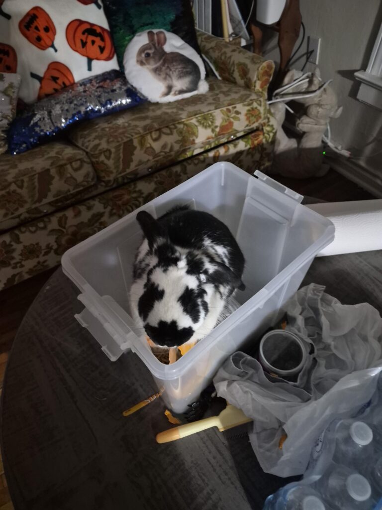 His greed sickens me…and its making me broke and him fat…I know better than to leave the lid off…shame him and me.