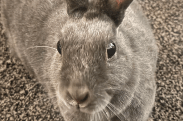 Suzy is sure looking fabulous 🤩