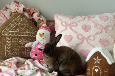 We wish you a merry Christmas and a happy new year 😘🫶🏻🎀🎄