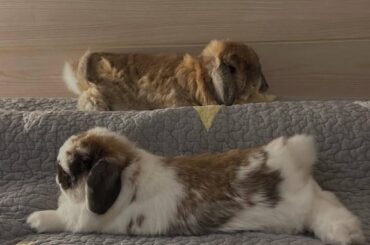 Does this seem legit?