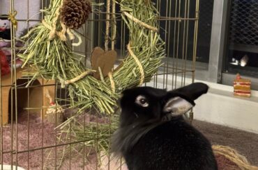 Hay Wreath!!