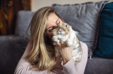 First time rabbit owner