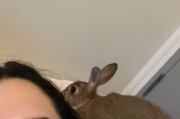 She’s a sucker for a blanket on the floor