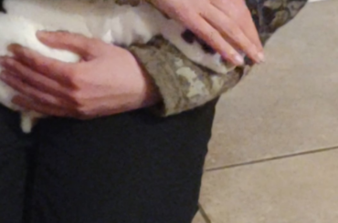 Bun just wants pets all the time.