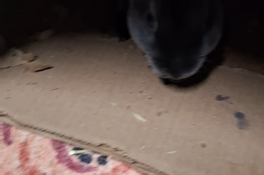 "Are you really gonna waste all that juice?"