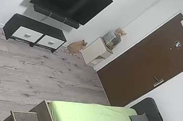 Explain the logic behind this 😂