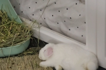 Is this loss of balance?