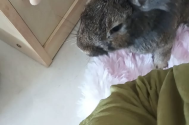 What did I do this time😭