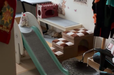 If you’re having a bad day, I hope this makes it a little better :)