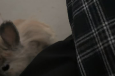 more of vincent’s love for his chew sticks