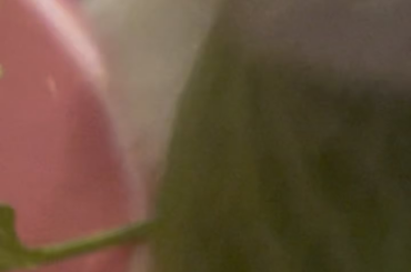 Bunny breakfast ASMR