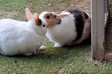 beloving sisters🫶🏼