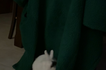 My boy is obsessed with my mom’s jacket 😭❤️