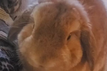 Merry Christmas y'all!! 🎄🎁