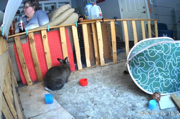 Auto getting some Wendy's Appy slices