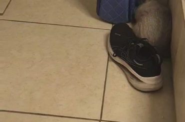 Movable object vs unstoppable force