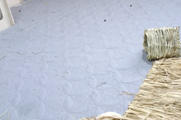 Why is she eating the litterbox instead if the hay? Is she stupid?