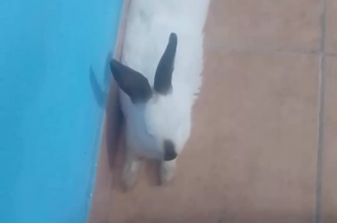 Is she okay is this normal??