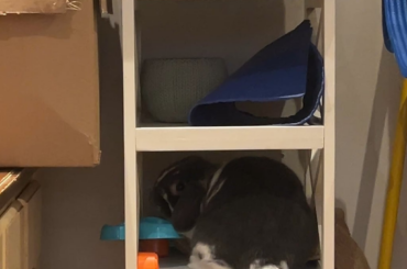 Live footage of gary getting in trouble