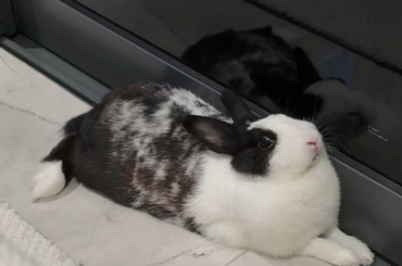 Why she staring at me like that?