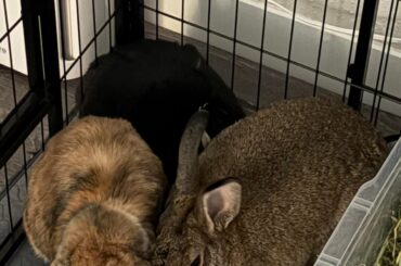 The trio is bonded!💍🥳💕