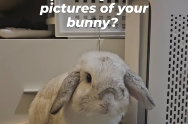 Momo highlights 💕