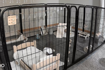 A little worried about my bunny.