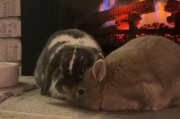 Reason #100 why Gary is an asshole