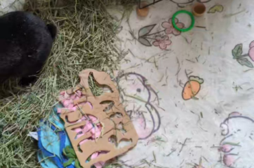 Is she mad or is she happy?? (Volume up)