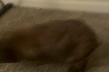 It’s his birthday! Don’t mind my laughing lol!