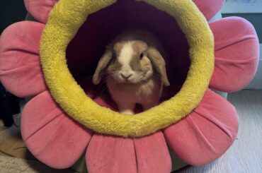 Getting through molting season