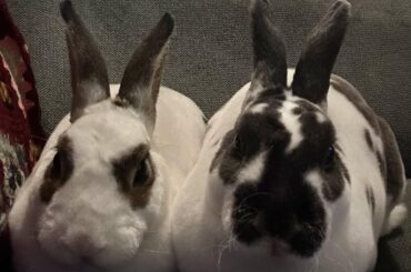 Double loafed up on a Monday