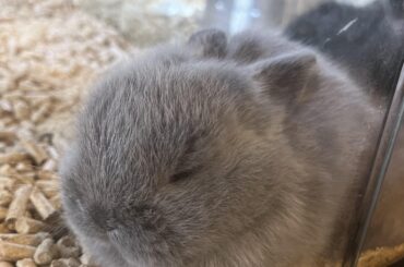 My newest friend, Oliver