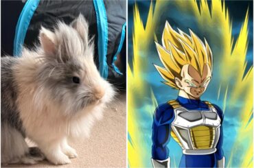 My friends this is Obito… but why he looks like Vegeta🥹😂