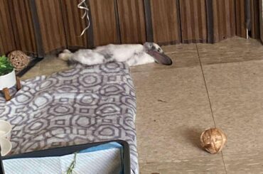 does anyone know what this means ?