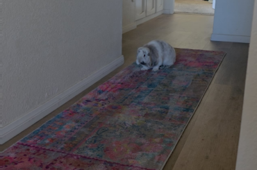 Came home from a long vacation