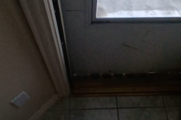 Ghost likes the cold more than Benny