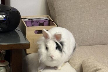 I literally just went to the bathroom…