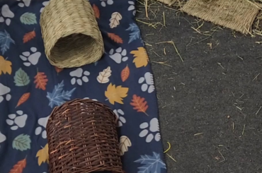 Let loose the buns of war!!!