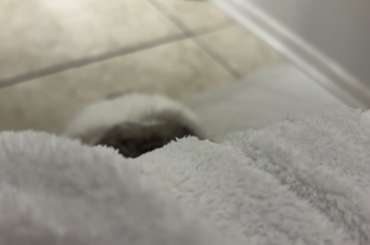 My designated lifeguard.