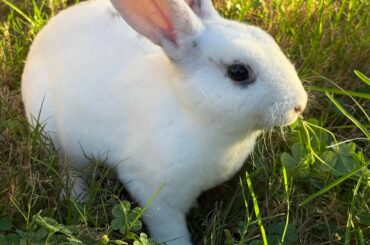 I thought I lost my baby last night and I can’t stop feeling guilty