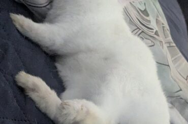 What is this position called? (Gave me a mini heart attack at first. 😂)