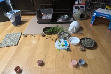 Little man is chuffed, we’ve gone with an open floor plan now lol