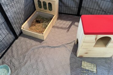 Stainless steel litter box?