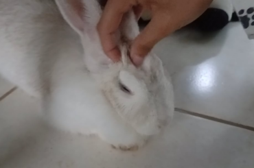 Tasting the human, delicious