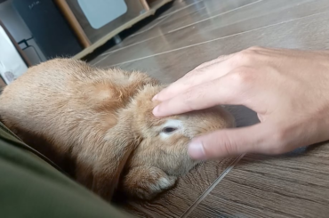 When he asks for more its the cutest thing ever for me 💕